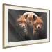 Wall Poster Forest Couple - Two Foxes and the Moon Against the Night, Starry Sky 144781 additionalThumb 11