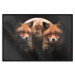 Wall Poster Forest Couple - Two Foxes and the Moon Against the Night, Starry Sky 144781 additionalThumb 23