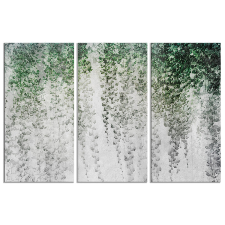 Obraz na płótnie Bluszczowa oaza - kompozycja z liśćmi rozłożonymi na murze