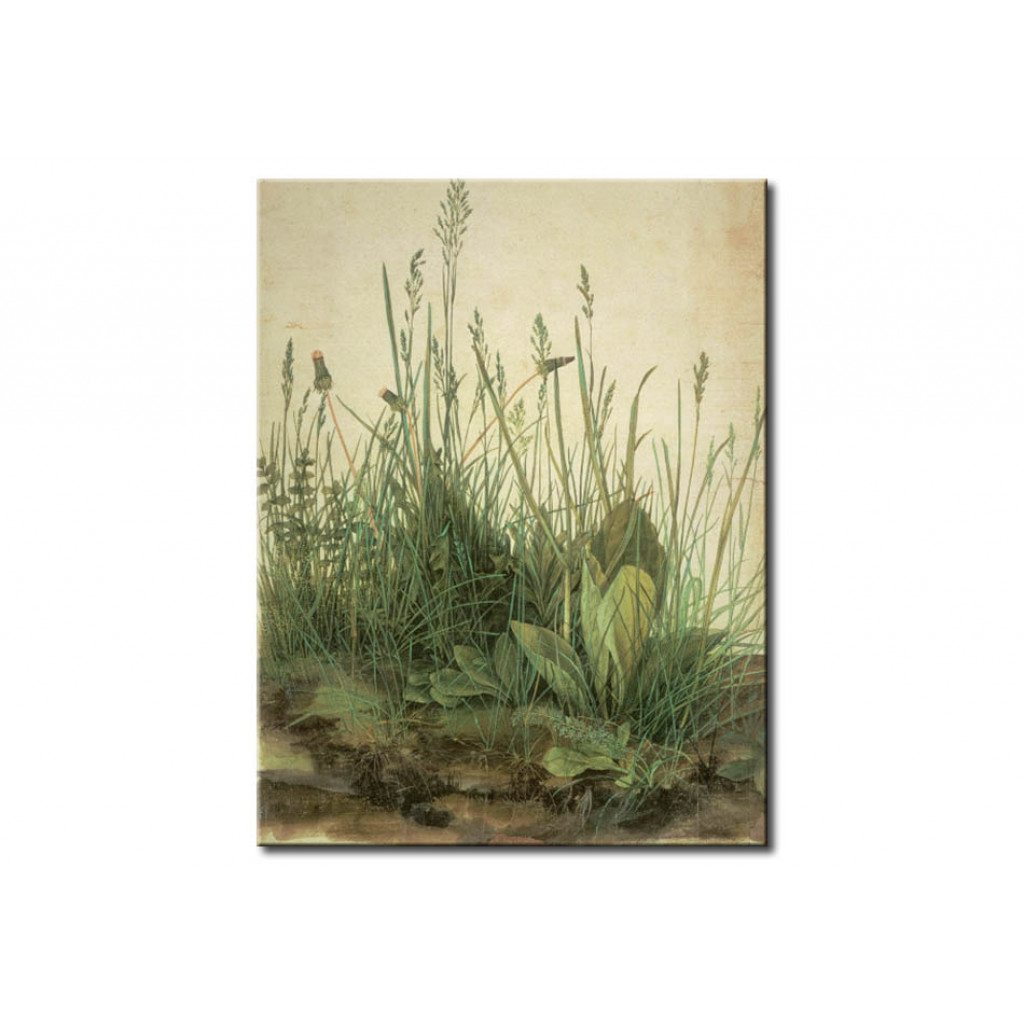 Schilderij  Albrecht Dürer: Das Große Rasenstück