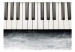 Fotomural Inspired by Chopin - grey stone 61381 additionalThumb 1