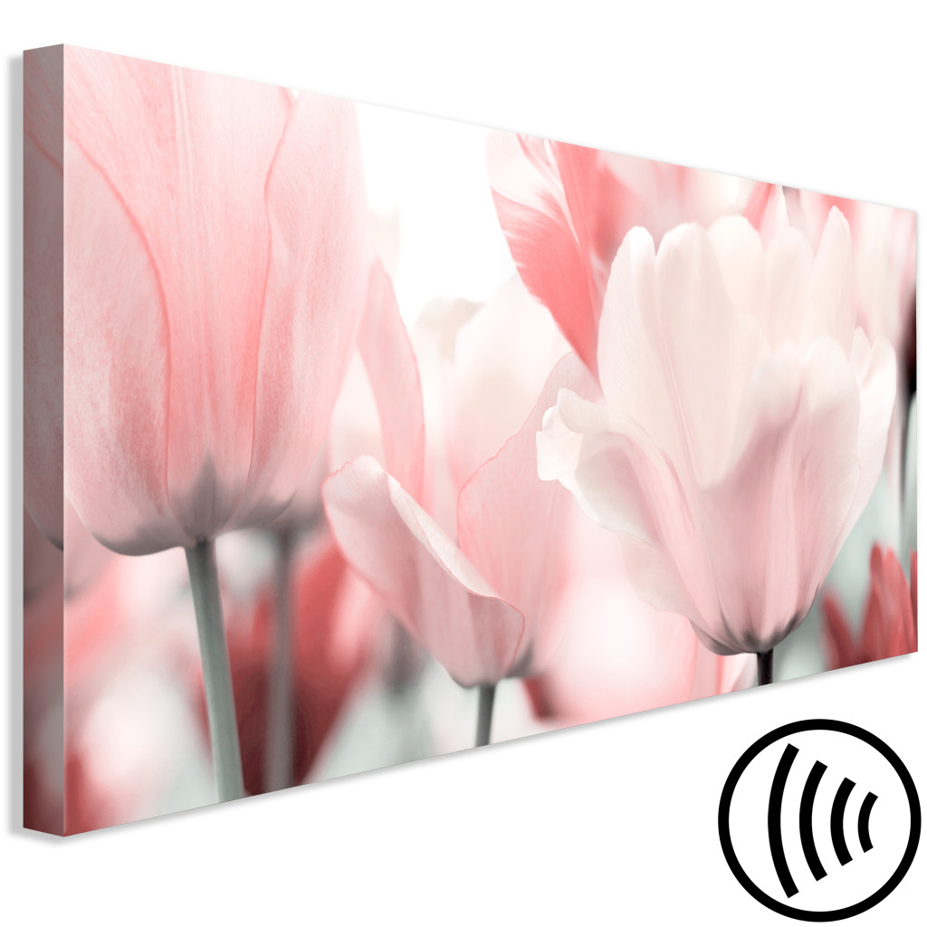 Schilderij  Tulpen: Pink Tulips