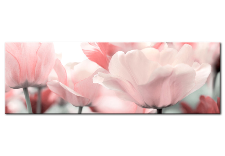 Obraz Różowe tulipany 90081