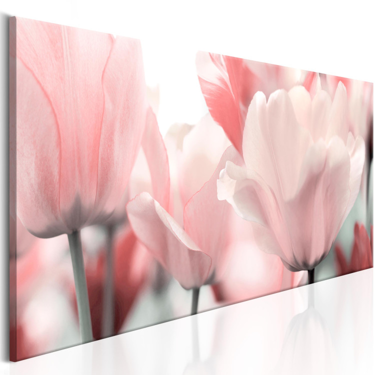 Obraz Różowe tulipany 90081 additionalImage 2