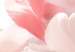 Obraz Różowe tulipany 90081 additionalThumb 4