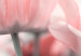Obraz Różowe tulipany 90081 additionalThumb 5