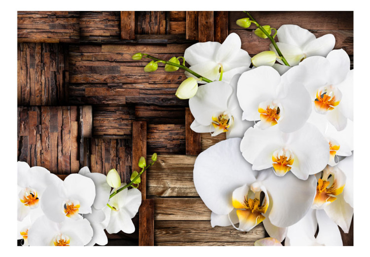 Mural de parede Blooming orchids 97281 additionalImage 1