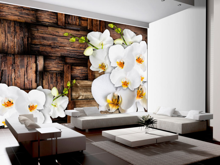 Mural de parede Blooming orchids