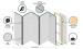 Paravento design Paper Dandelions II [Room Dividers] 107991 additionalThumb 6