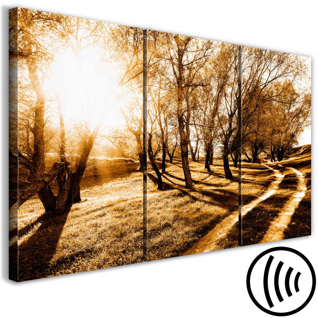 Obraz Jesienne Słońce - Pejzaż Z Alejką, Drzewami I Naturą W Złotym świetle