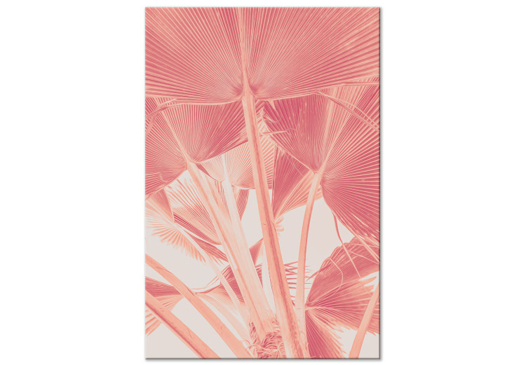 Canvas Pink palm - overexposed image of palm leaves in pink