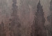 Fototapeta Przelot ptaków nad koroną drzew - krajobraz ciemnego lasu we mgle 142791 additionalThumb 4