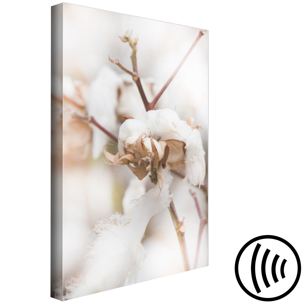 Schilderij  Bomen: Cotton Twigs - Natural Photo Of A Plant In The Style Of A Boho