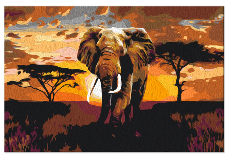 Obraz do malowania po numerach Wędrówka słonia - afrykański krajobraz o zachodzie słońca 149791 additionalImage 7