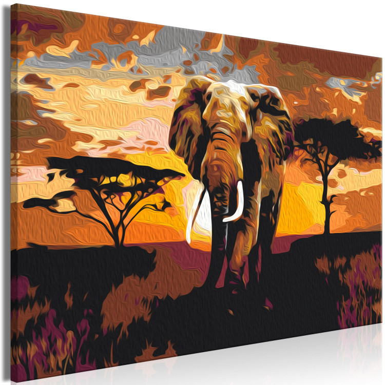 Obraz do malowania po numerach Wędrówka słonia - afrykański krajobraz o zachodzie słońca 149791 additionalImage 5