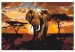 Obraz do malowania po numerach Wędrówka słonia - afrykański krajobraz o zachodzie słońca 149791 additionalThumb 7