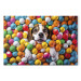 Målning AI Beagle Dog - Animal Sunk in Colorful Balls - Horizontal 150291 additionalThumb 7