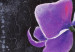 Cuadro decorativo Orquídea morada (1 pieza) - composición floral en fondo gris 48491 additionalThumb 4