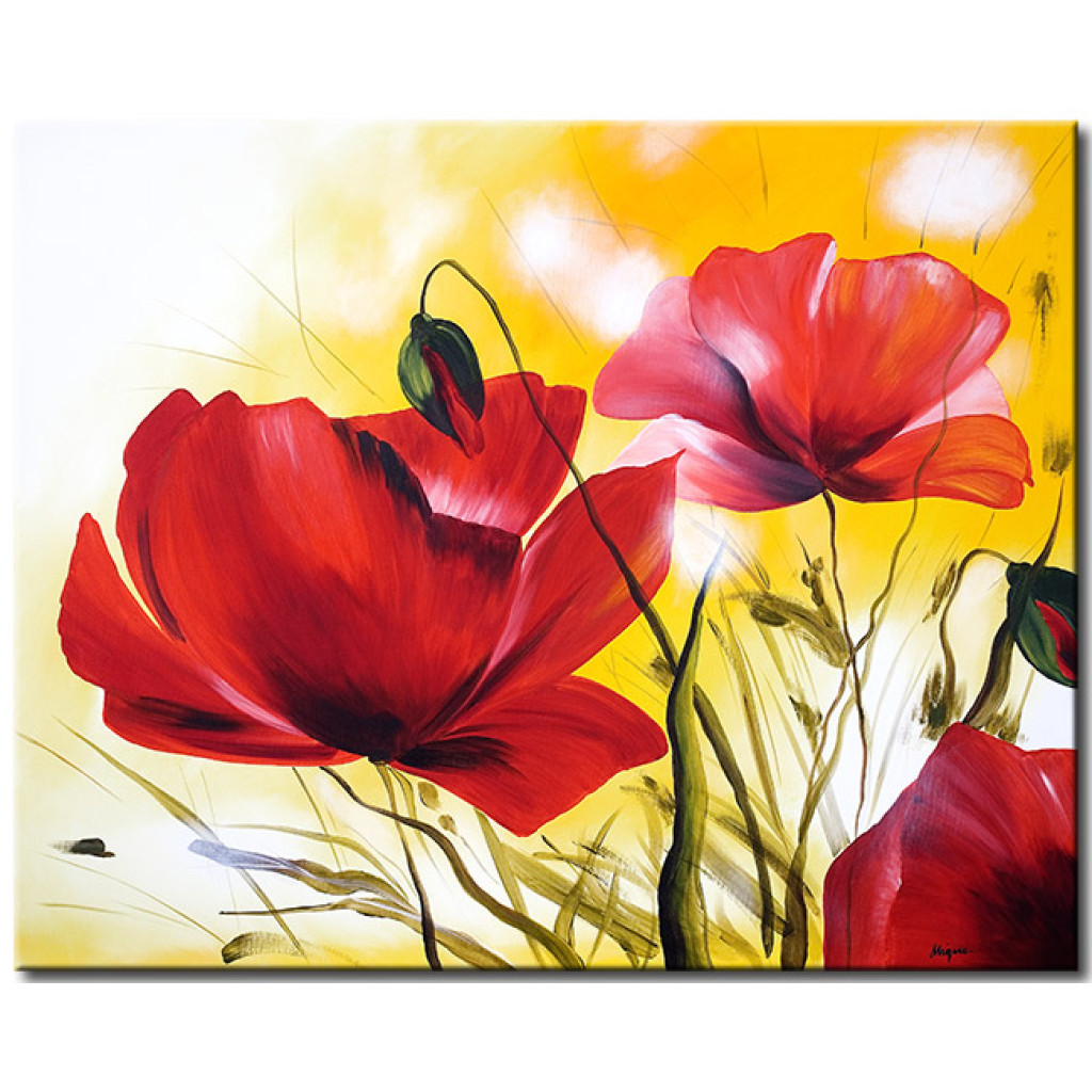 Schilderij  Klaprozen: Prachtige Klaprozen (1-delig) - Een Weide Van Rode Bloemen Op Een Zonnige Achtergrond