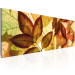 Cadre moderne Collage - feuilles 50591 additionalThumb 2