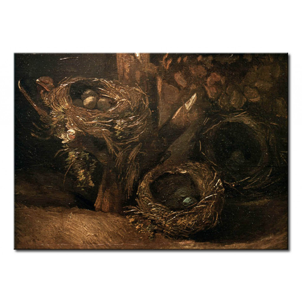Schilderij  Vincent Van Gogh: Bird's Nests