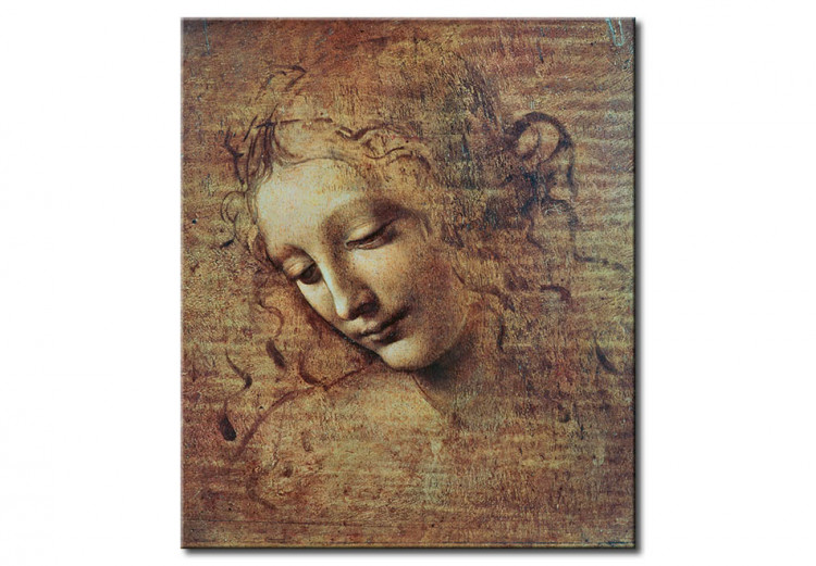 Cópia do quadro Head of a Young Woman with Tousled Hair or, Leda 51991