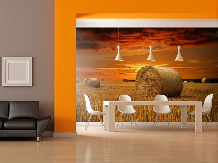 Wall Mural Golden Fields - Landscape Depicting a Sunset in the Village 60291