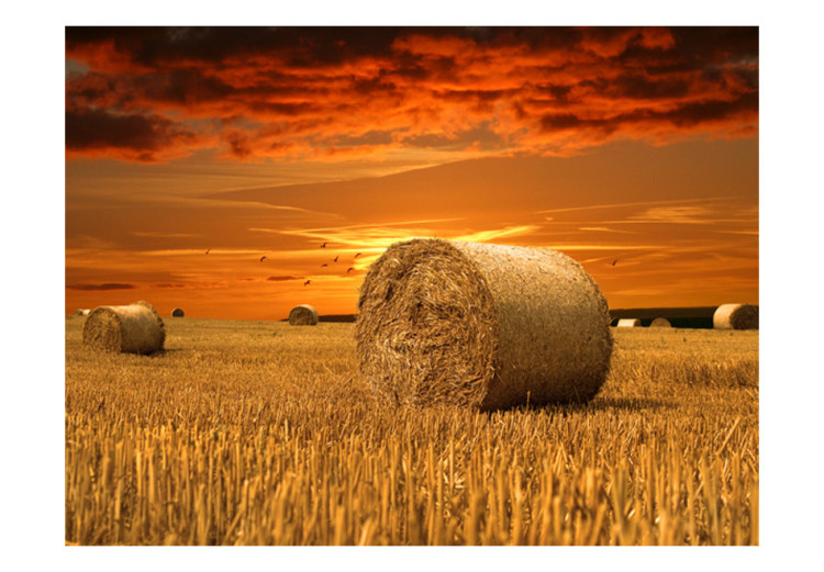 Wall Mural Golden Fields - Landscape Depicting a Sunset in the Village 60291 additionalImage 1
