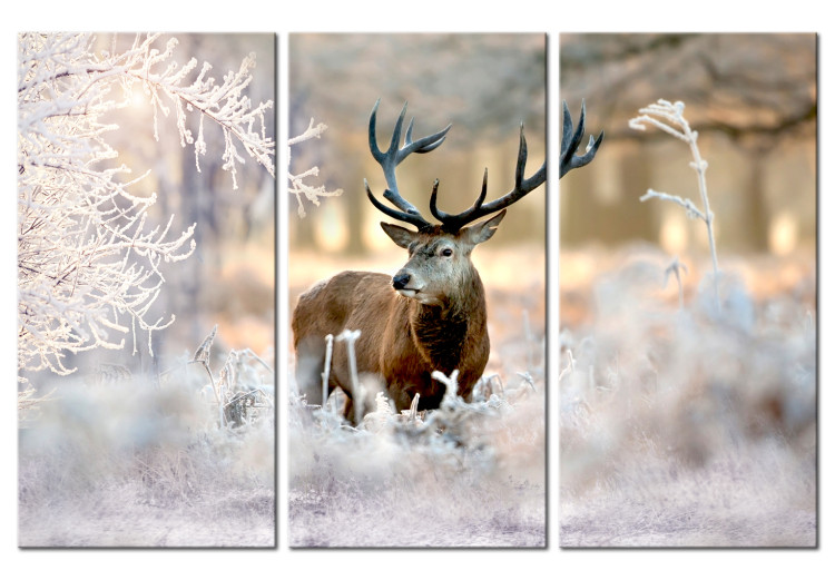 Bild auf Leinwand Deer in the Cold I 106802