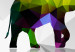 Obraz Kolorowe zwierzęta (4-częściowy) 108202 additionalThumb 5