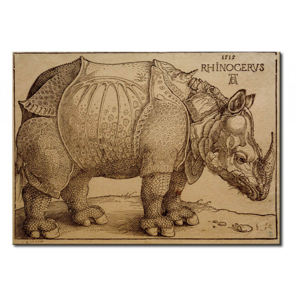 Reprodução Da Pintura Famosa The Rhinoceros