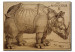 Reprodukcja obrazu The Rhinoceros 108602