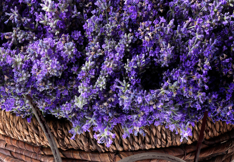 Cuadro moderno Secret Lavender Bouquet (1 Part) Vertical 128402 additionalImage 4