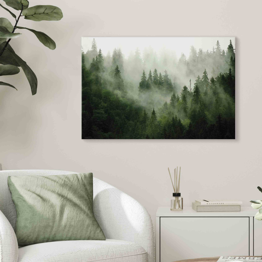 Schilderij  Bos: Mountain Forest - View Of Green Coniferous Trees Covered With Fog