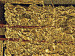 Canvas Golden bottle 47502 additionalThumb 2