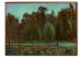 Réplica de pintura El campo de coles, Pontoise 53602