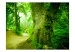 Wall Mural Forest Path - Landscape with a Path Surrounded by Trees with Green Leaves 60502 additionalThumb 1