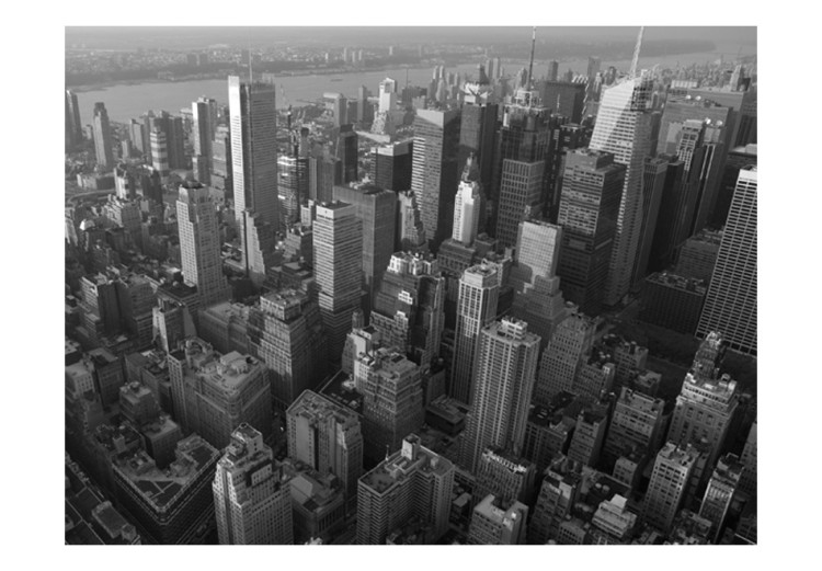 Carta da parati moderna New York visto dall'alto - città in tonalità di grigio 61502 additionalImage 1