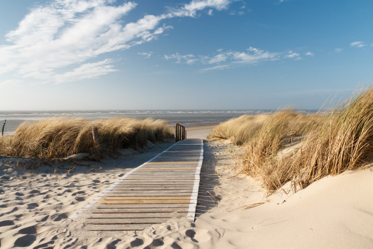 Fotomural Langeoog - Paisagem com Praia de Areia do Mar do Norte e Água Serena 61602
