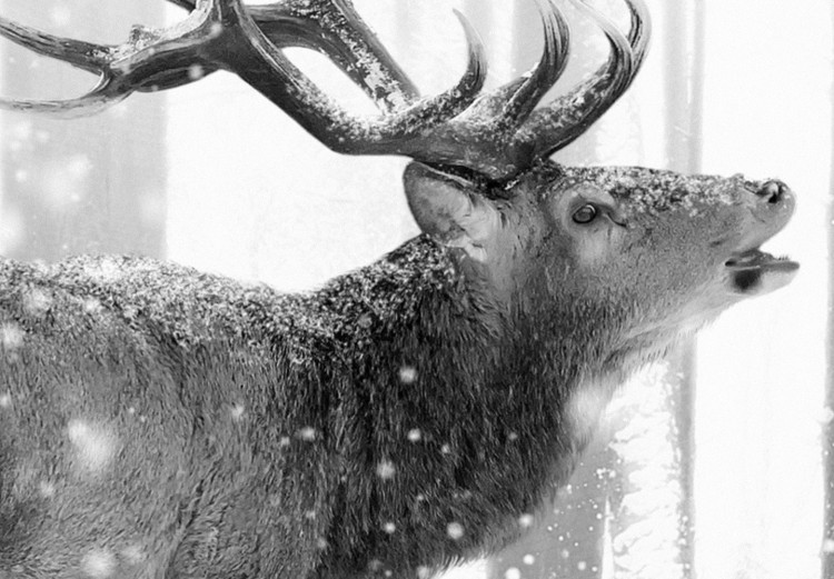 Carta da parati moderna Deer in the Snow (Black and White) 126812 additionalImage 4