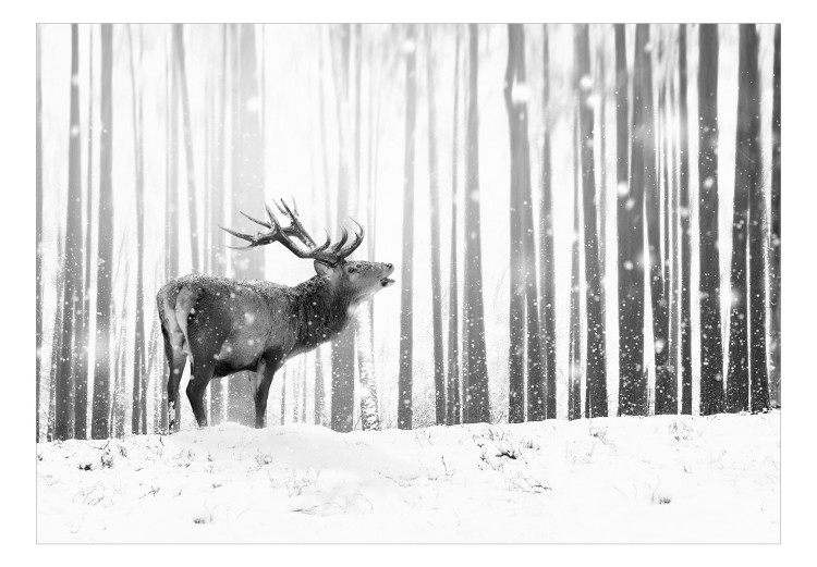 Carta da parati moderna Deer in the Snow (Black and White) 126812 additionalImage 1