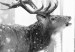 Carta da parati moderna Deer in the Snow (Black and White) 126812 additionalThumb 4