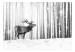 Mural de parede Deer in the Snow (Black and White) 126812 additionalThumb 1