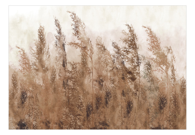 Mural de parede Tall Grasses - Brown 131712 additionalImage 1