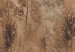 Mural de parede Tall Grasses - Brown 131712 additionalThumb 3
