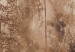 Mural de parede Tall Grasses - Brown 131712 additionalThumb 4