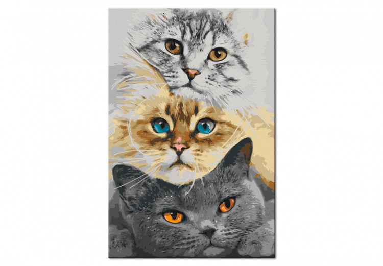 Wandbild zum Ausmalen Cat's Trio 132312 additionalImage 6