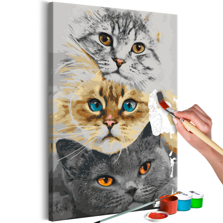 Kit de peinture par numéros Cat's Trio 132312 additionalImage 3