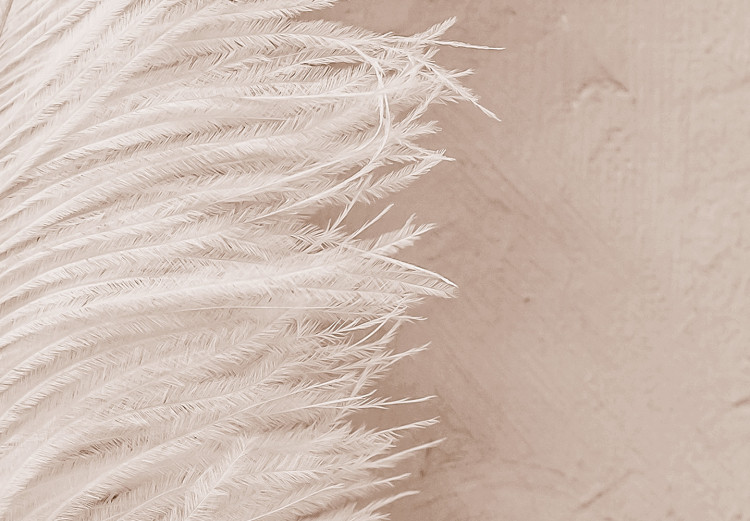 Quadro contemporaneo Piuma bianca -  Composizione in stile scandi boho 136512 additionalImage 4