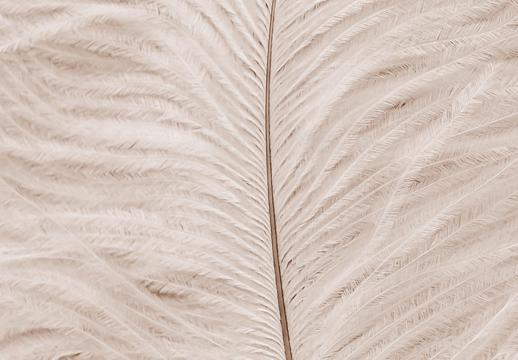 Quadro contemporaneo Piuma bianca -  Composizione in stile scandi boho 136512 additionalImage 5